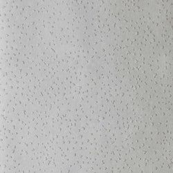 Color – Pumice
