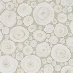 Color – Ash