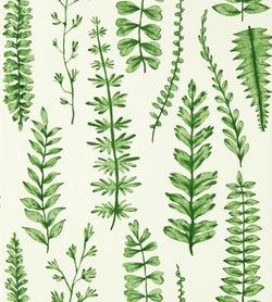 Color – Juniper