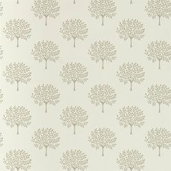 Color – Cream