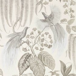 Color – Linen