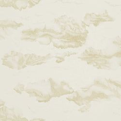 Color – Gold/Shell