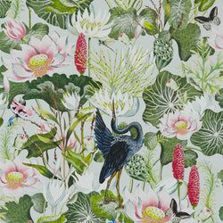 Color – Dove