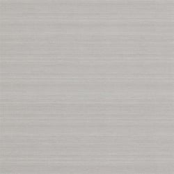 Silver Birch