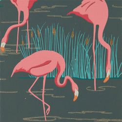 Color – Ebony/Coral/Lagoon