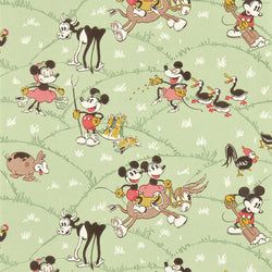 Color – Macaron Green