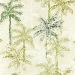 Color – Palm