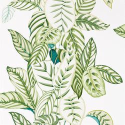 Color – Botanical Green