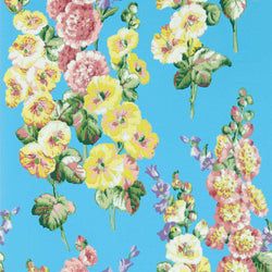 Color – Fire Pink/Bright Blue