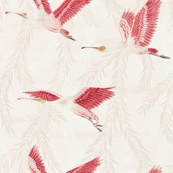 Color – Blush/Blossom