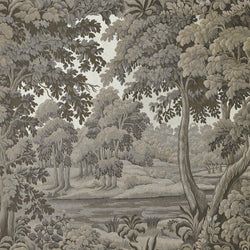 Cedar