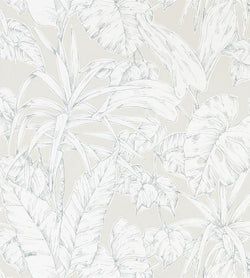 Color – Raffia