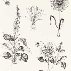 Color – Charcoal