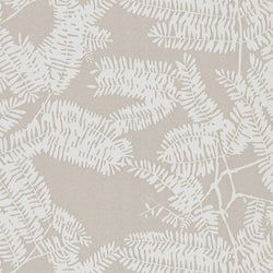 Color – Champagne