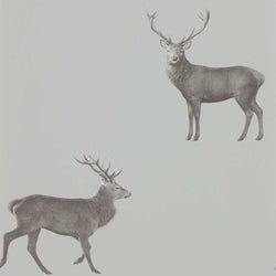 Color – Silver Grey