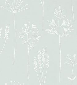Color – Frost