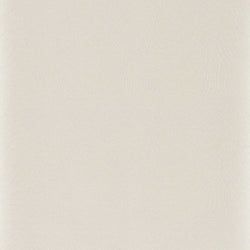 Color – Shimmer Oyster