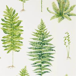 Color – Botanical Green