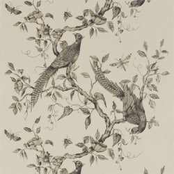 Color – Dove