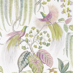 Color – Orchid