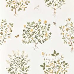 Color – Lichen/Gooseberry
