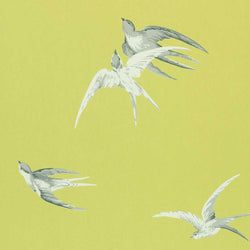 Color – Lime