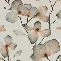 Color – Bronze/Graphite