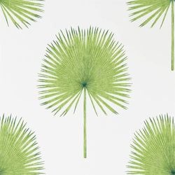 Color – Botanical Green