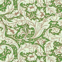 Color – Leaf Green/Sky