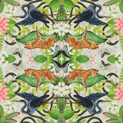 Color – Dove