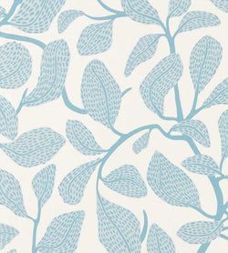 Color – Coast Blue
