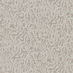 Coloe – Oyster/Pearl