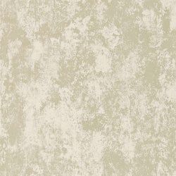 Color – Shell