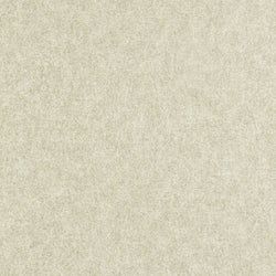 Color – Platinum Grey