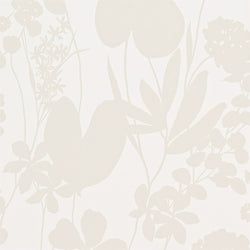 Color – Pearl