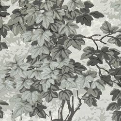 Color – Charcoal