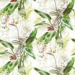 Color – Evergreen