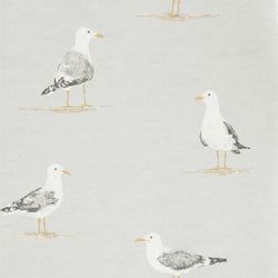 Color – Gull