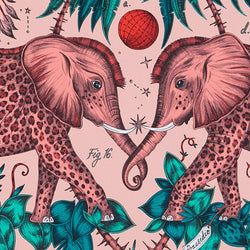 Color – Pink