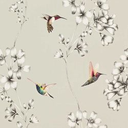 Color – Silver