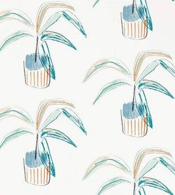Color – Tangerine / Mint