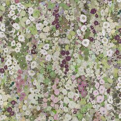Meadow