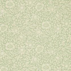 Color – Apple Green