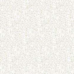 Color – Neutral