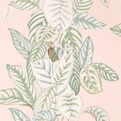 Color – Orchid/Eucalyptus