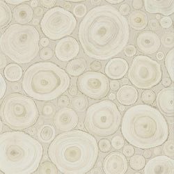 Color – Birch