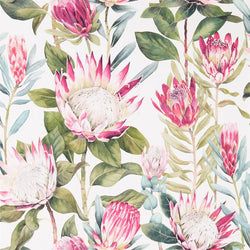 Color – Rhodera/Cream