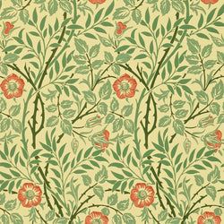 Color – Green/Rust