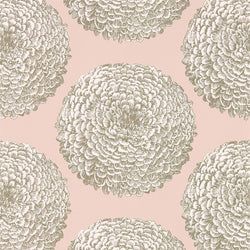 Color – Rose Quartz