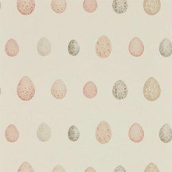 Color – Blush Pink